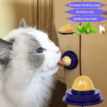 Vitamin Pacifier For Cats - ezniceshop
