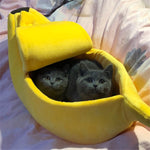 Banana Cat Bed - ezniceshop