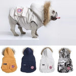 Bulldog Winter Clothes - ezniceshop