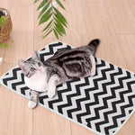 Dog Absorbent Pad - ezniceshop