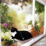 Cute Pet Hanging Beds - ezniceshop
