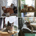 Cute Pet Hanging Beds - ezniceshop