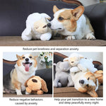 Stuffed Toy For Dog - ezniceshop