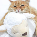 Stuffed Toy For Dog - ezniceshop