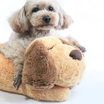 Stuffed Toy For Dog - ezniceshop