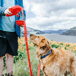 Dog Leash With Water Bottle - ezniceshop