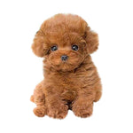 Realistic Teddy Dog - ezniceshop