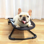 Dog Rocking Chair - ezniceshop