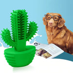 Cactus Dog Toothbrush - ezniceshop