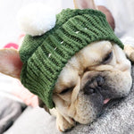 Woolen Dog Hat - ezniceshop