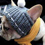 Woolen Dog Hat - ezniceshop
