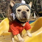 Woolen Dog Hat - ezniceshop