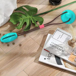 Dog Chewy Ball Teeth Cleaning - ezniceshop