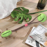 Dog Chewy Ball Teeth Cleaning - ezniceshop