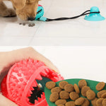 Dog Chewy Ball Teeth Cleaning - ezniceshop