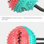 Dog Chewy Ball Teeth Cleaning - ezniceshop
