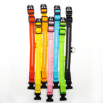 Pet LED Collar - ezniceshop