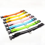 Pet LED Collar - ezniceshop