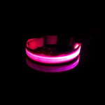 Pet LED Collar - ezniceshop