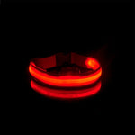 Pet LED Collar - ezniceshop