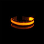Pet LED Collar - ezniceshop