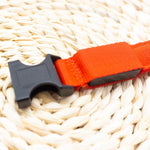 Pet LED Collar - ezniceshop
