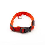 Pet LED Collar - ezniceshop
