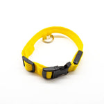 Pet LED Collar - ezniceshop