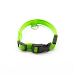 Pet LED Collar - ezniceshop