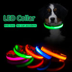 Pet LED Collar - ezniceshop