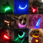 Pet LED Collar - ezniceshop