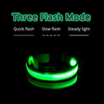 Pet LED Collar - ezniceshop
