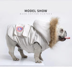Bulldog Winter Clothes - ezniceshop