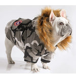 Bulldog Winter Clothes - ezniceshop