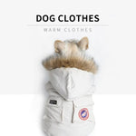 Bulldog Winter Clothes - ezniceshop