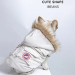 Bulldog Winter Clothes - ezniceshop