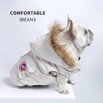 Bulldog Winter Clothes - ezniceshop
